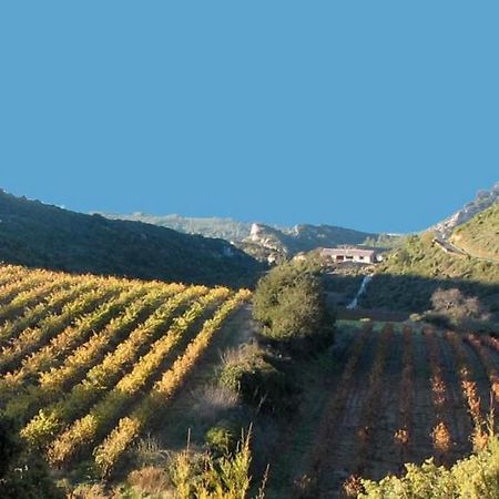 Gite Dans Ancienne Bergerie En Pleine Garrigue Fraissé-des-Corbières Bagian luar foto