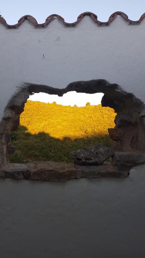 Gite Dans Ancienne Bergerie En Pleine Garrigue Fraissé-des-Corbières Bagian luar foto