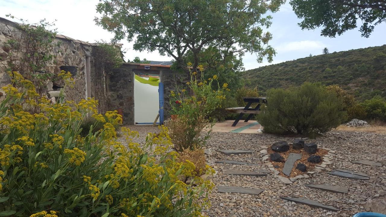 Gite Dans Ancienne Bergerie En Pleine Garrigue Fraissé-des-Corbières Bagian luar foto
