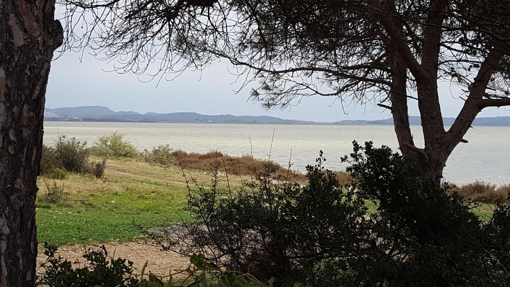 Gite Dans Ancienne Bergerie En Pleine Garrigue Fraissé-des-Corbières Bagian luar foto