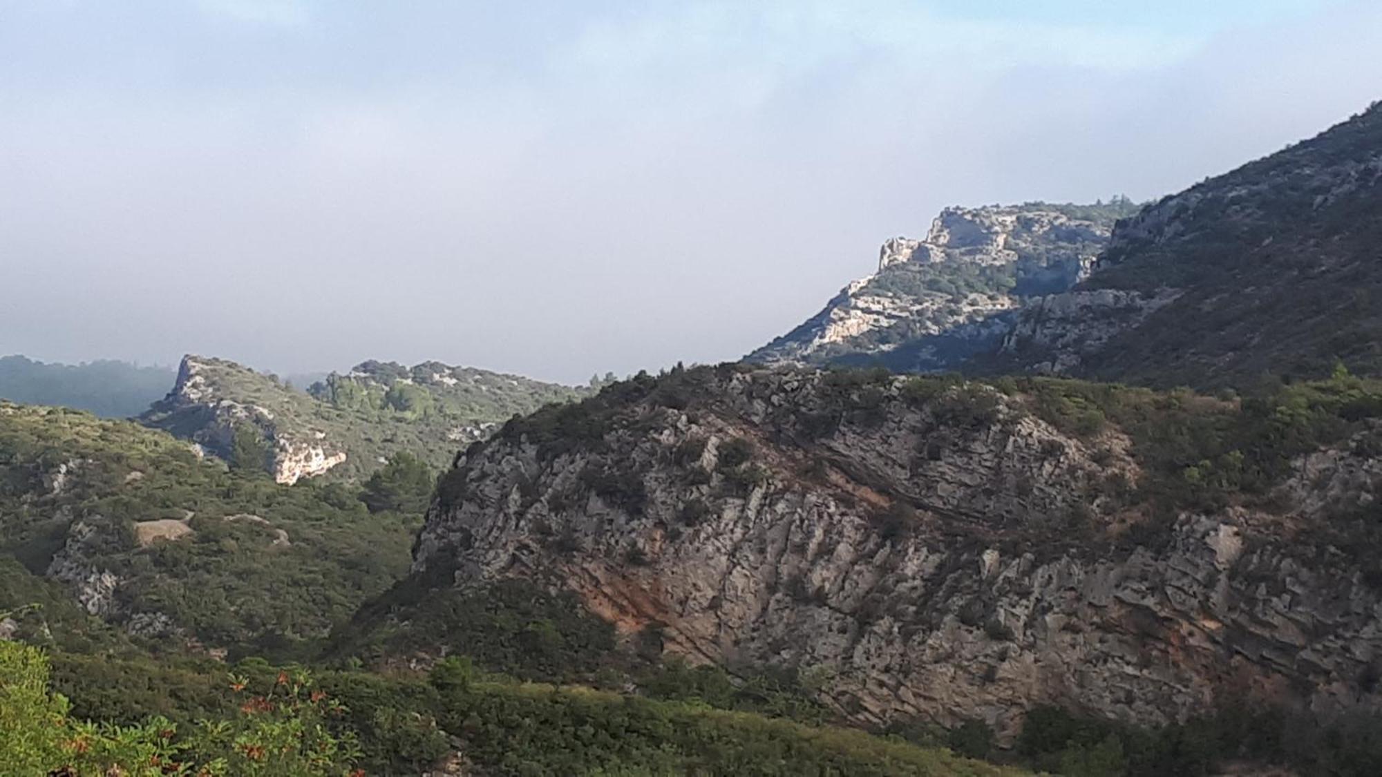 Gite Dans Ancienne Bergerie En Pleine Garrigue Fraissé-des-Corbières Bagian luar foto