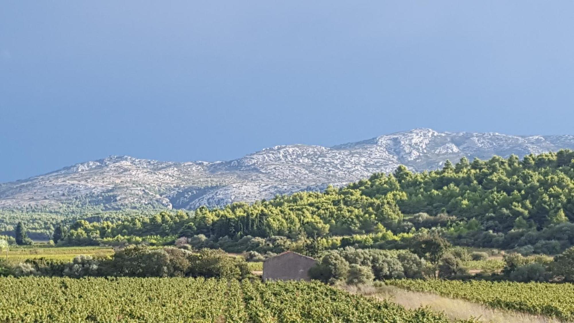 Gite Dans Ancienne Bergerie En Pleine Garrigue Fraissé-des-Corbières Bagian luar foto